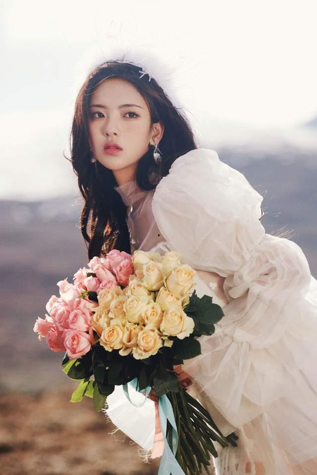 娱乐大爆料玫瑰,玫瑰背后的惊人真相大揭秘  第1张